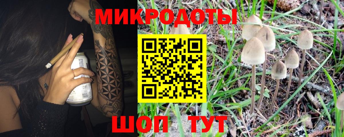 Псилоцибиновые грибы прущие грибы Карпинск