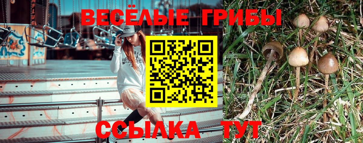 Карпинск  Псилоцибиновые грибы GOLDEN TEACHER  Вход с VPN  Псилоцибиновые грибы Psilocybe 